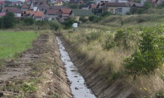 Prăpăd după vijelie într-o comună clujeană. Copaci doborâți și drumuri blocate, echipele de intervenție au muncit non-stop