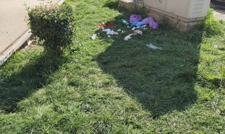 ȘATRA de Mănăștur: ”În parc la Minerva s-au bălăcit în fântână și au pus hainele la uscat pe topogane”