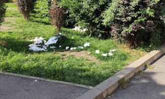 ȘATRA de Mănăștur: ”În parc la Minerva s-au bălăcit în fântână și au pus hainele la uscat pe topogane”