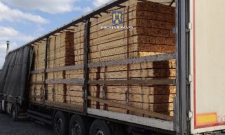 Transport ilegal de lemn depistat în Cluj: s-au aplicat amenzi usturătoare