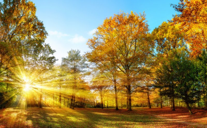 Cum va fi vremea la început de septembrie. Prognoza pentru o lună