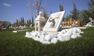 Unde va fi primul cimitir de animale din Cluj-Napoca. Proiectul, în consultare publică
