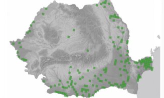 Someșul Clujului, tot mai primitor: Au venit egrete mici :) Alături de lebede, rațe și pescăruși