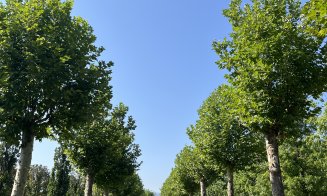 Parc de 52.000 de metri pătrați in viitorul RIVUS Garden