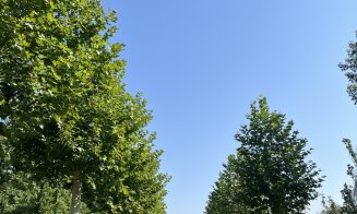 Parc de 52.000 de metri pătrați in viitorul RIVUS Garden