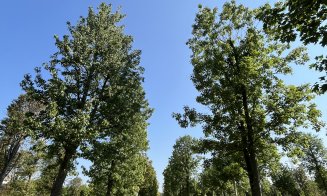 Parc de 52.000 de metri pătrați in viitorul RIVUS Garden