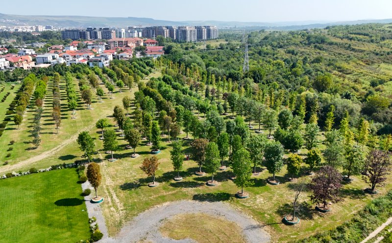 Parc de 52.000 de metri pătrați in viitorul RIVUS Garden