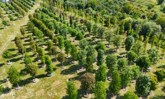 Parc de 52.000 de metri pătrați in viitorul RIVUS Garden