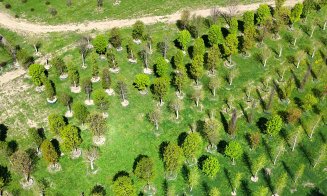 Parc de 52.000 de metri pătrați in viitorul RIVUS Garden