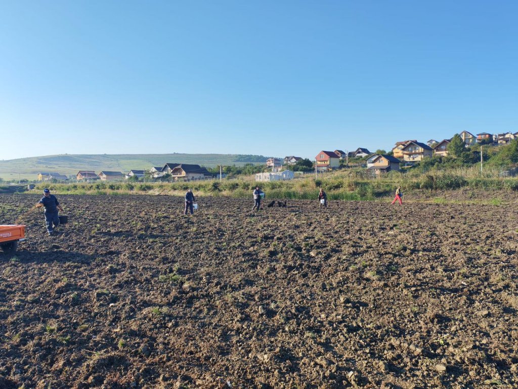 Lucrări de întreținere și protejare pe Lacul 4 din Câmpenești: "Investiții esențiale pentru sănătatea mediului și bunăstarea comunității din Apahida"
