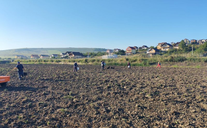 Lucrări de întreținere și protejare pe Lacul 4 din Câmpenești: "Investiții esențiale pentru sănătatea mediului și bunăstarea comunității din Apahida"