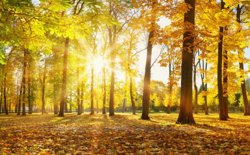 PROGNOZA meteo pentru prima lună de toamnă. Cum va fi vremea în septembrie/ Când încep ploile