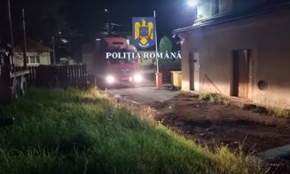 Camion confiscat la Belilș + Dosar Penal pentru furt de lemne