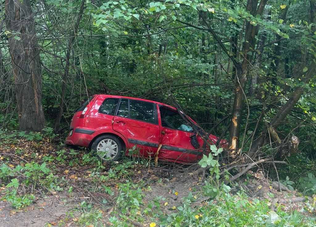Accident în Cluj-Napoca: o mașină a ieșit de pe șosea și s-a izbit de un copac. Femeie, transportată la spital