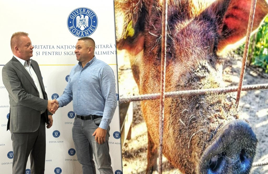 Expoziția de Animale din comuna Frata NU se mai anulează pe motiv de pestă porcină / Când va avea loc