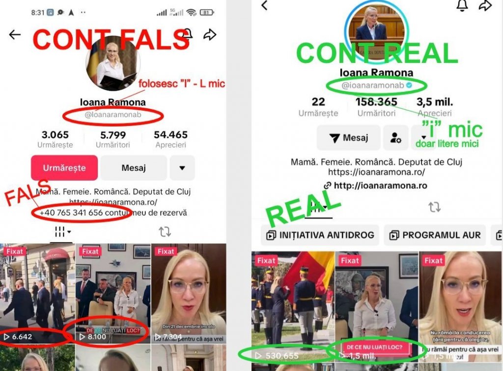 Deputatul clujean Ramona Bruynseels, victimă a unui atac cibernetic pe TikTok. "Vă rog să fiți atenți"