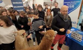 O altă zi "obișnuită" la Cluj! Două alpaca au făcut o vizită la FSEGA să vadă cum e viața de student :)