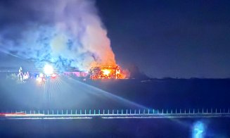 INCENDIU în Cluj: Cabană făcută scrum și risc de extindere a focului la un adăpost de animale cu 200 de vaci / De la ce a pornit focul