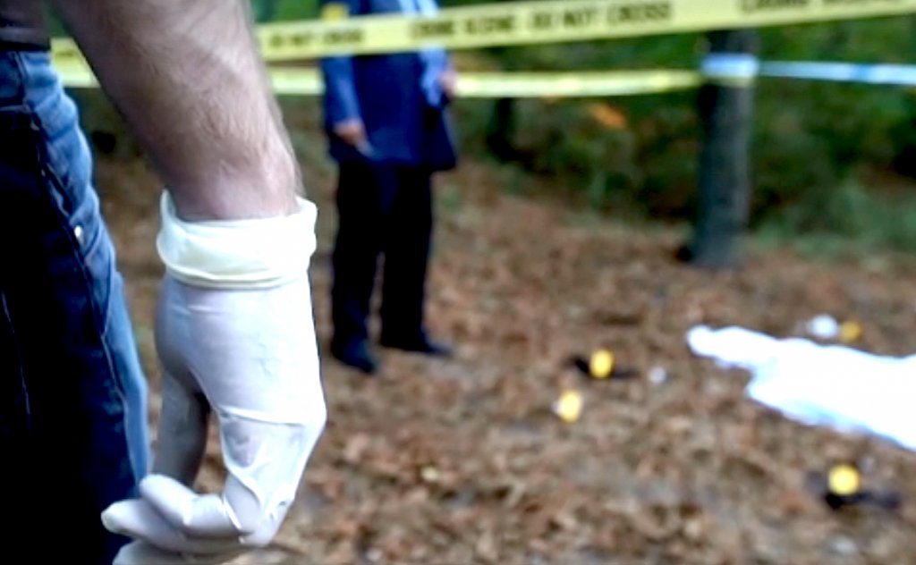 Cadavrul unei femei dispărute, găsit cu plăgi de înjunghiere, îngropat într-o pădure / Suspecții CRIMEI, fiica femeii de 14 ani și iubitul ei