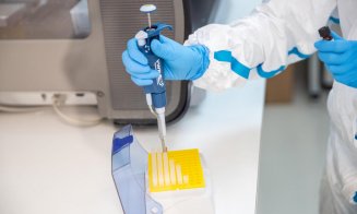 Cum a fost posibil: cercetătoare de la UBB Cluj plătită timp doi ani fără să vină la muncă