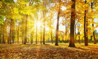 Temperaturi de vară în plină toamnă! Finalul lunii octombrie vine cu surprize în termometre
