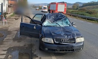 Accident grav într-o localitate din Cluj: un bărbat de 27 de ani a ajuns la spital, iar un cal a murit