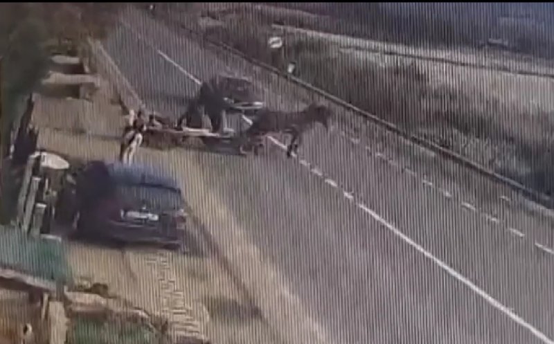 Accidentul cumplit din Sânpaul, Cluj, surprins de o cameră de supraveghere: o mașină a lovit în plin o căruță. Calul a murit, iar un tânăr a fost rănit