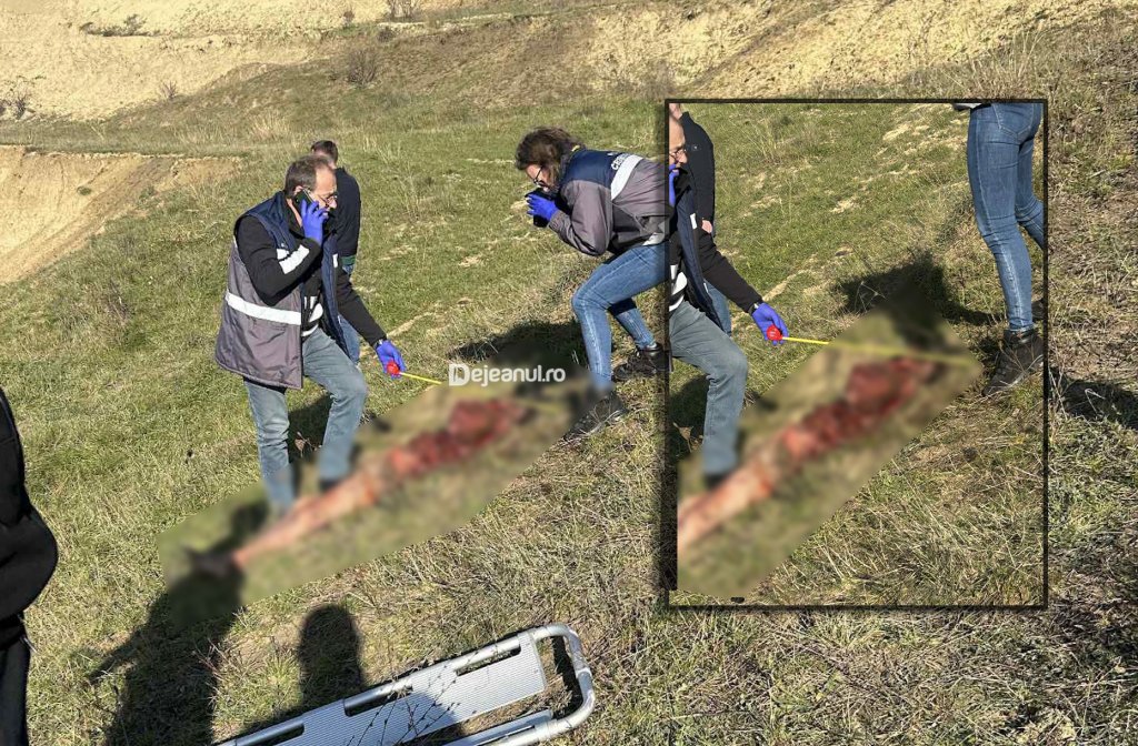 CADAVRUL bărbatului sfâșiat de fiare lângă o stână din Cluj a fost identificat