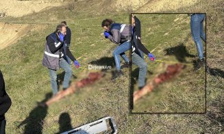 CDAVRUL bărbatului sfâșiat de fiare lângă o stână din Cluj a fost identificat