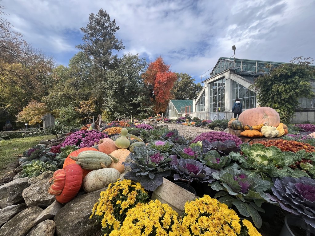 Toamna la Grădina Botanică din Cluj-Napoca