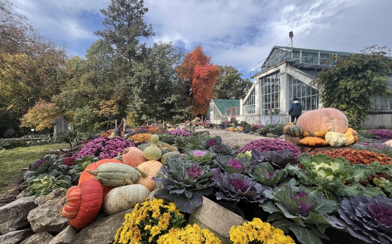 Toamna la Grădina Botanică din Cluj-Napoca