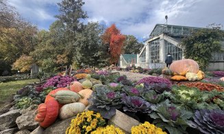Toamna la Grădina Botanică din Cluj-Napoca