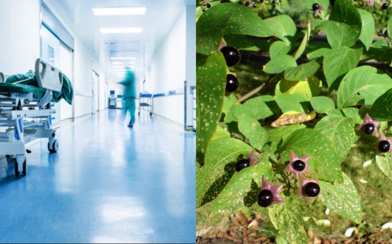 Caz șocant la Cluj: doi copii au ajuns la spital în stare gravă după ce s-au intoxicat cu mătrăgună
