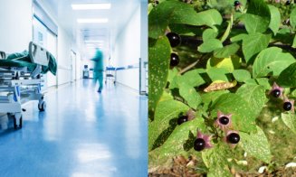 Caz șocant la Cluj: doi copii au ajuns la spital în stare gravă după ce s-au intoxicat cu mătrăgună