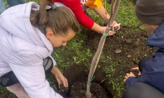 Săptămâna Verde la Școala Gimnazială „Liviu Rebreanu” din Cluj-Napoca: Activități practice și jocuri interactive despre importanța protejării mediului