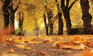 Temperaturi maxime în creștere până la sfârșitul lunii octombrie / Vreme mai rece și ploi, de la 1 noiembrie