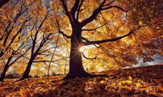 Temperaturi peste cele obişnuite în această perioadă, până aproape de sfârşitul lunii noiembrie