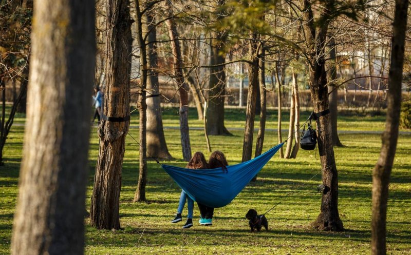 Parc de peste 2 hectare în zona metropolitană a Clujului