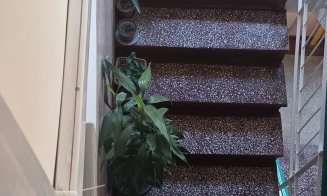 Ghivece cu flori de pe casa scărilor sunt INTERZISE. Blochează evacuarea și intervenția în caz de incendiu