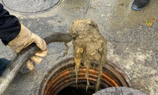 Clujenii transformă canalizarea în groapă de gunoi. Ce au găsit angajații Companiei de Apă Someș