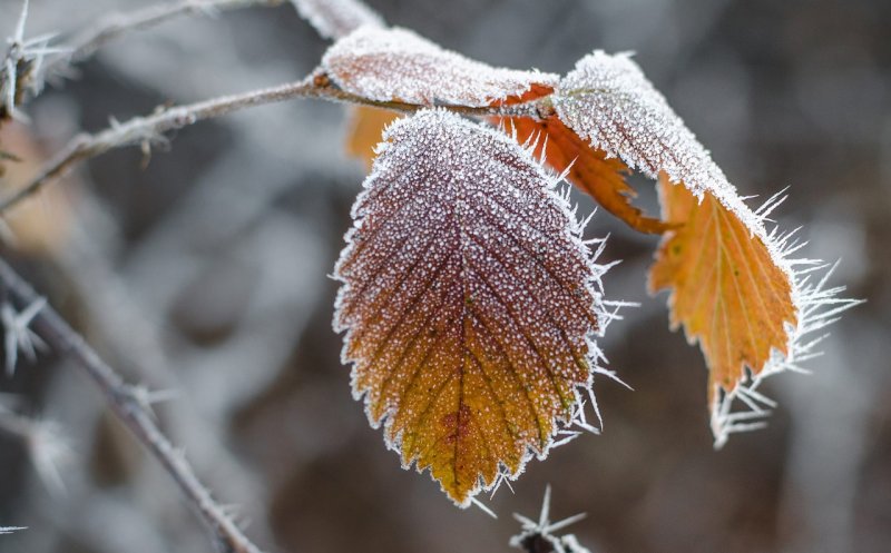 Vremea se răcește. Cod galben de vânt la Cluj