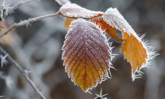 Vremea se răcește. Cod galben de vânt la Cluj