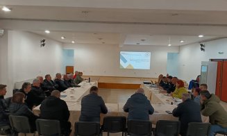 CJ Cluj pornește în teren pentru gestionarea responsabilă a câinilor din județ. Prima etapă, în Apahida