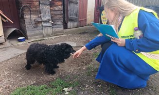 CJ Cluj pornește în teren pentru gestionarea responsabilă a câinilor din județ. Prima etapă, în Apahida