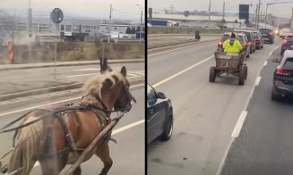 CJ SPY lu' 7 cai :))