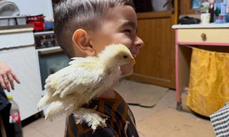 Cum se înțelege Vlăduța Lupău cu soacra? ”Biata de ea...”