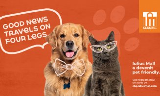 Experiențe pentru întreaga familie, inclusiv pentru căței și pisici. Iulius Mall Cluj a devenit pet friendly