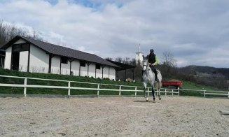 Cât te costă să ai propriul centru de echitație în Cluj? Vezi cum arată această proprietate unică