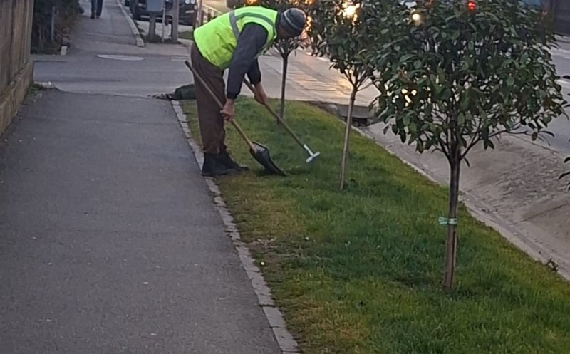 Primăria Apahida, apel ferm către stăpânii de animale: „Strada nu e toaletă pentru animale!”