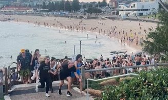 Atacatorii care au ucis 15 persoane pe o plajă din Australia sunt tată și fiu / O fetiță de 10 ani și un supraviețuitor al Holocaustului, printre cei 